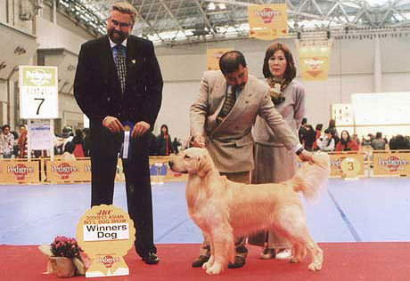 2000 FCI ASIA INT Winner Dog