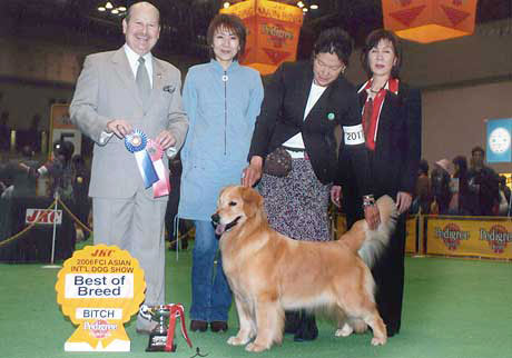 2006 FCI ASIA INTBest of Breed