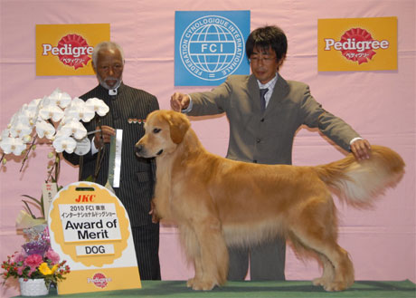 2010 FCI TOKYO INT Award of Merit