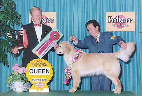 1995 FCI ASIA INT Puppy Queen