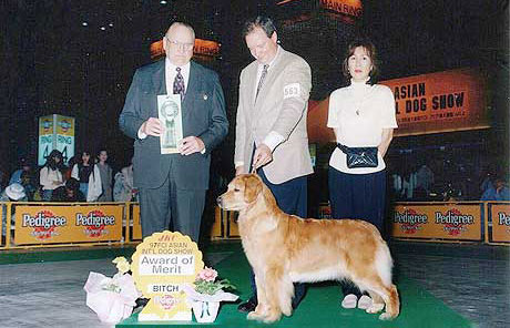 1997 FCI ASIA INT Award of Merit