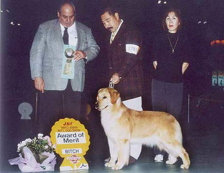 1999 FCI ASIA INT Award of Merit